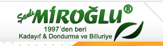restoran / miroğlu plus